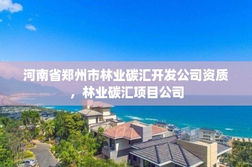 河南省郑州市林业碳汇开发公司资质，林业碳汇项目公司