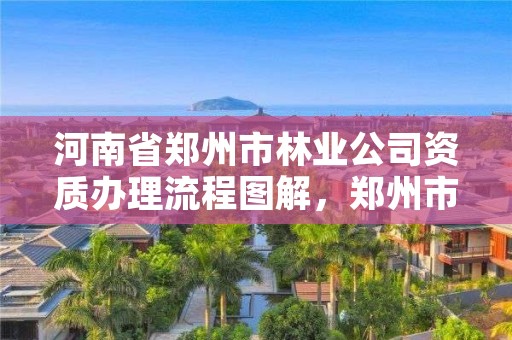 河南省郑州市林业公司资质办理流程图解，郑州市林业局2020年林业产业项目