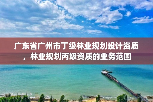 广东省广州市丁级林业规划设计资质，林业规划丙级资质的业务范围