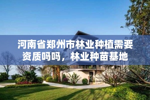 河南省郑州市林业种植需要资质吗吗，林业种苗基地