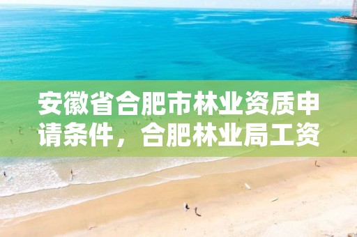 安徽省合肥市林业资质申请条件,合肥林业局工资待遇