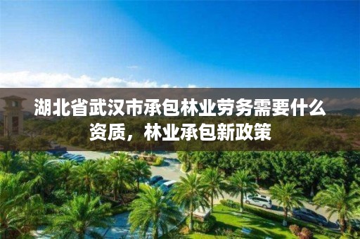 湖北省武汉市承包林业劳务需要什么资质，林业承包新政策