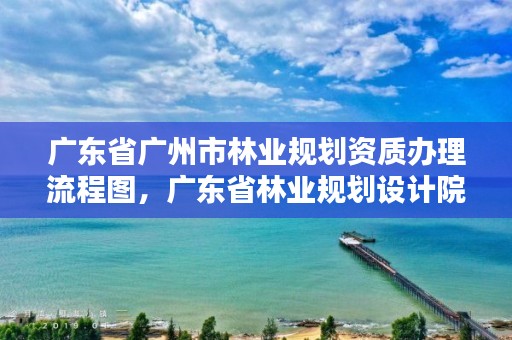 广东省广州市林业规划资质办理流程图，广东省林业规划设计院