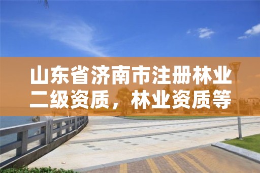 山东省济南市注册林业二级资质，林业资质等级
