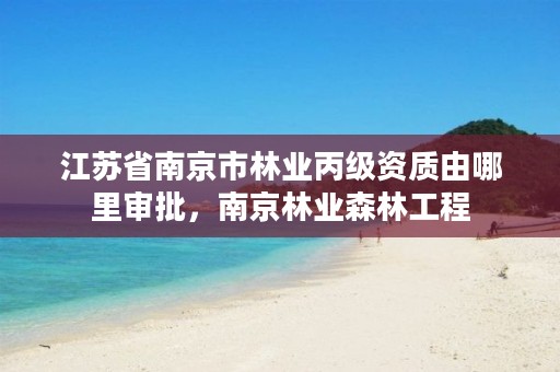 江苏省南京市林业丙级资质由哪里审批,南京林业森林工程