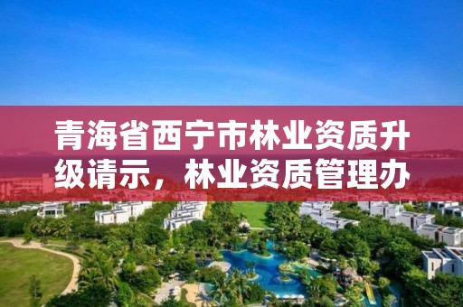 青海省西宁市林业资质升级请示，林业资质管理办法