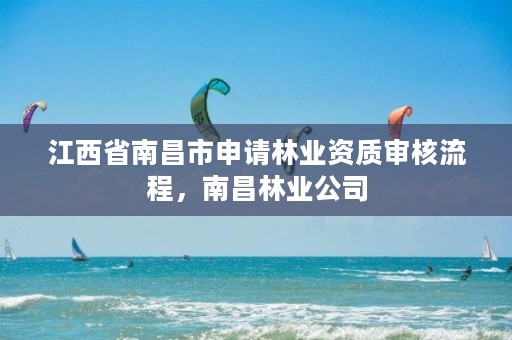 江西省南昌市申请林业资质审核流程，南昌林业公司