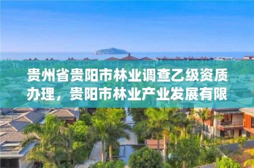 贵州省贵阳市林业调查乙级资质办理，贵阳市林业产业发展有限公司
