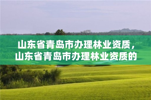 山东省青岛市办理林业资质，山东省青岛市办理林业资质的公司