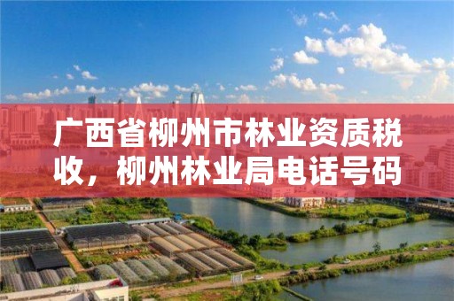 广西省柳州市林业资质税收，柳州林业局电话号码