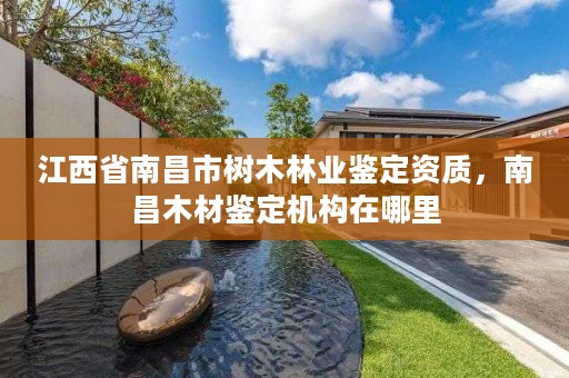 江西省南昌市树木林业鉴定资质，南昌木材鉴定机构在哪里