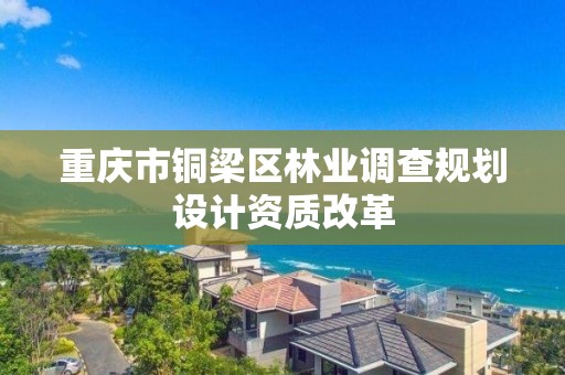 重庆市铜梁区林业调查规划设计资质改革