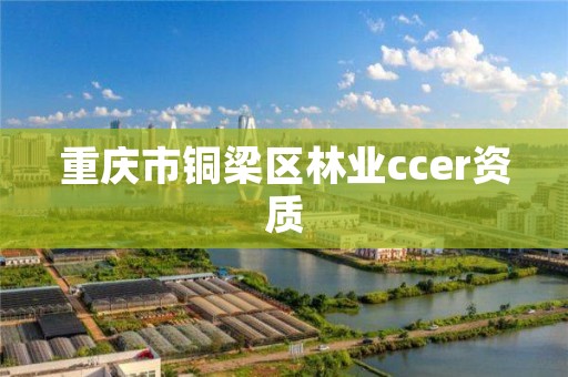 重庆市铜梁区林业ccer资质