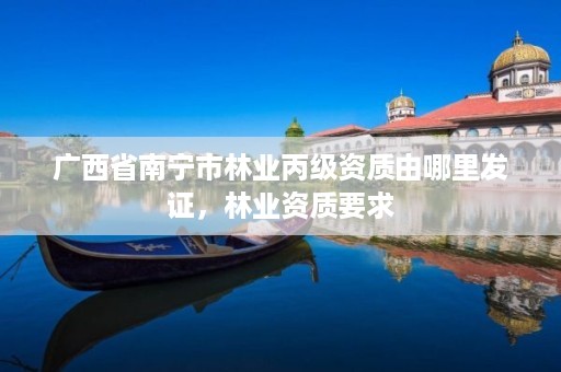 广西省南宁市林业丙级资质由哪里发证，林业资质要求