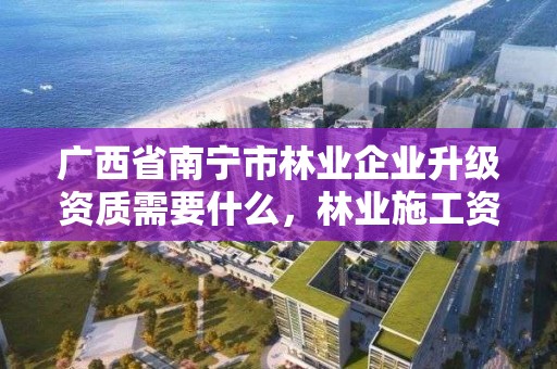 广西省南宁市林业企业升级资质需要什么，林业施工资质