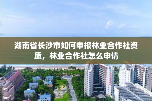 湖南省长沙市如何申报林业合作社资质,林业合作社怎么申请