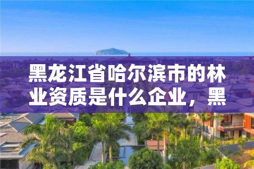 黑龙江省哈尔滨市的林业资质是什么企业，黑龙江省哈尔滨市林业局官网
