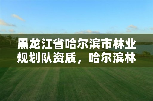 黑龙江省哈尔滨市林业规划队资质，哈尔滨林业厅官网