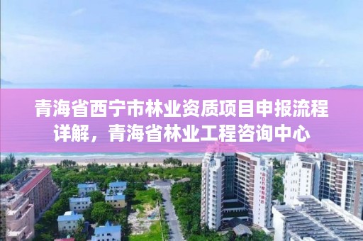 青海省西宁市林业资质项目申报流程详解,青海省林业工程咨询中心
