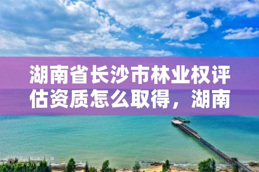 湖南省长沙市林业权评估资质怎么取得，湖南省林权证管理办法