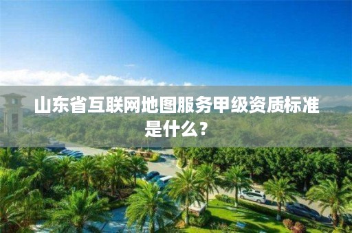 山东省互联网地图服务甲级资质标准是什么?