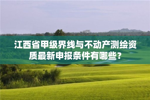 江西省甲级界线与不动产测绘资质最新申报条件有哪些？