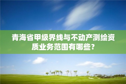 青海省甲级界线与不动产测绘资质业务范围有哪些？