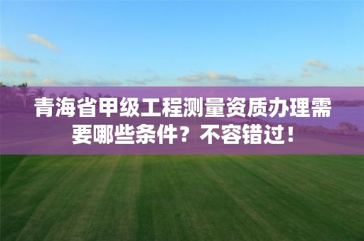青海省甲级工程测量资质办理需要哪些条件？不容错过！