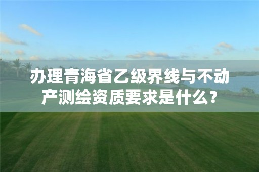 办理青海省乙级界线与不动产测绘资质要求是什么？