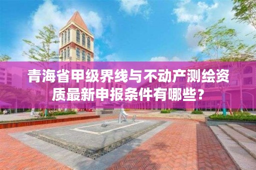 青海省甲级界线与不动产测绘资质最新申报条件有哪些？