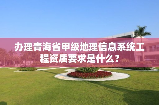 办理青海省甲级地理信息系统工程资质要求是什么？