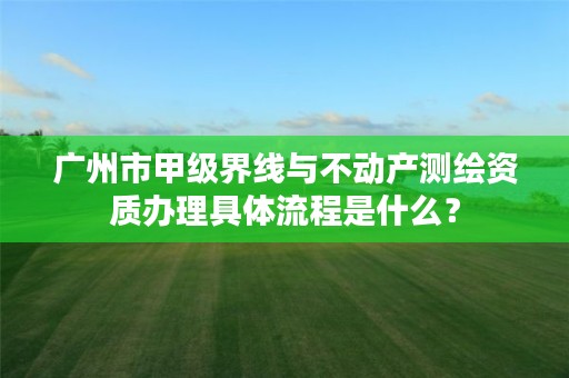 广州市甲级界线与不动产测绘资质办理具体流程是什么?