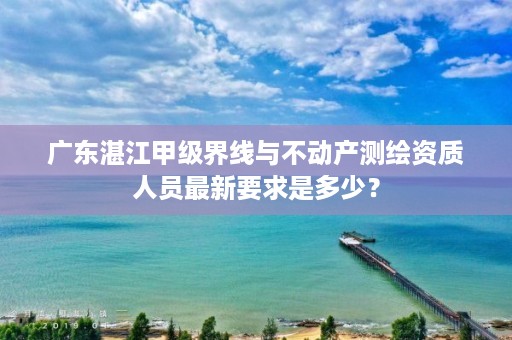 广东湛江甲级界线与不动产测绘资质人员最新要求是多少?