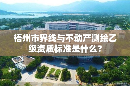 梧州市界线与不动产测绘乙级资质标准是什么？