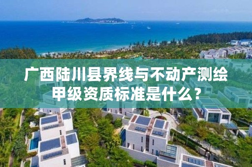 广西陆川县界线与不动产测绘甲级资质标准是什么？