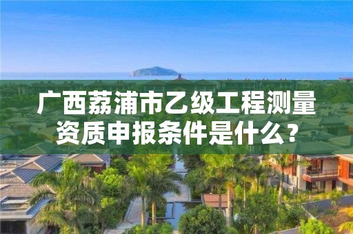 广西荔浦市乙级工程测量资质申报条件是什么？