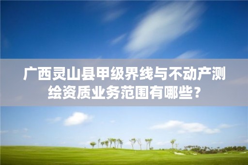 广西灵山县甲级界线与不动产测绘资质业务范围有哪些？