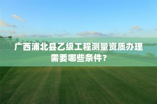 广西浦北县乙级工程测量资质办理需要哪些条件？