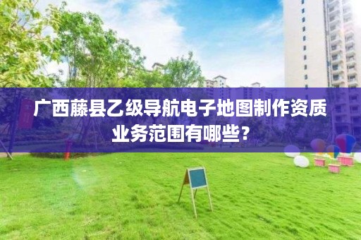广西藤县乙级导航电子地图制作资质业务范围有哪些？