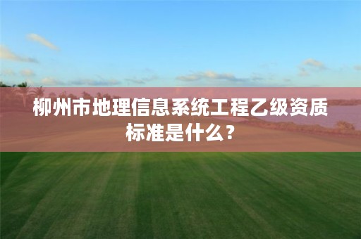 柳州市地理信息系统工程乙级资质标准是什么？