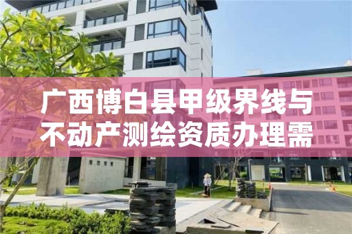 广西博白县甲级界线与不动产测绘资质办理需要哪些条件？