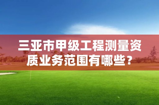 三亚市甲级工程测量资质业务范围有哪些？