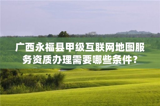 广西永福县甲级互联网地图服务资质办理需要哪些条件？