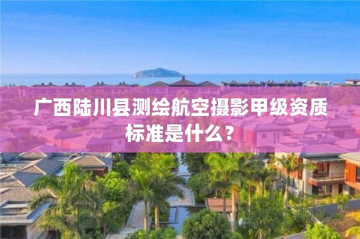 广西陆川县测绘航空摄影甲级资质标准是什么？