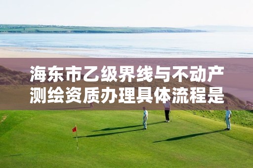 海东市乙级界线与不动产测绘资质办理具体流程是什么？