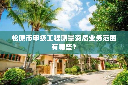 松原市甲级工程测量资质业务范围有哪些？