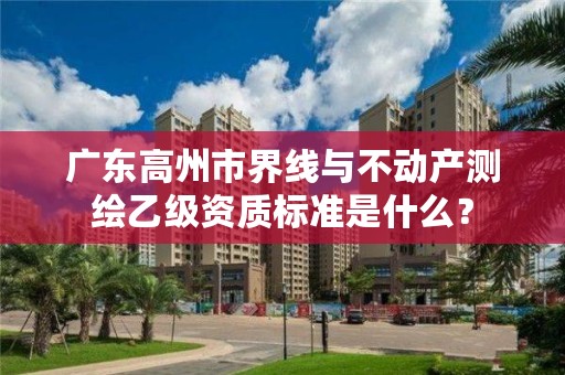 广东高州市界线与不动产测绘乙级资质标准是什么?