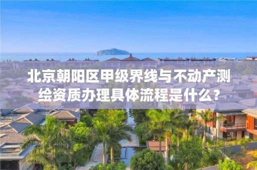 北京朝阳区甲级界线与不动产测绘资质办理具体流程是什么?