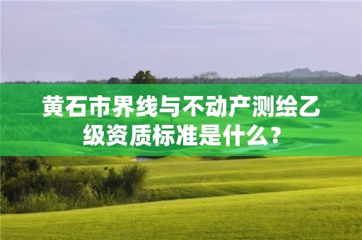 黄石市界线与不动产测绘乙级资质标准是什么?