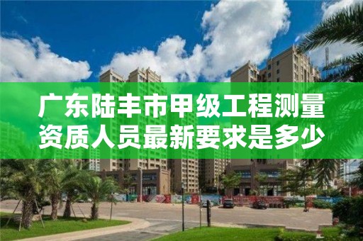 广东陆丰市甲级工程测量资质人员最新要求是多少人?